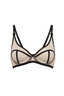 Perilla Caffe Latte Bra